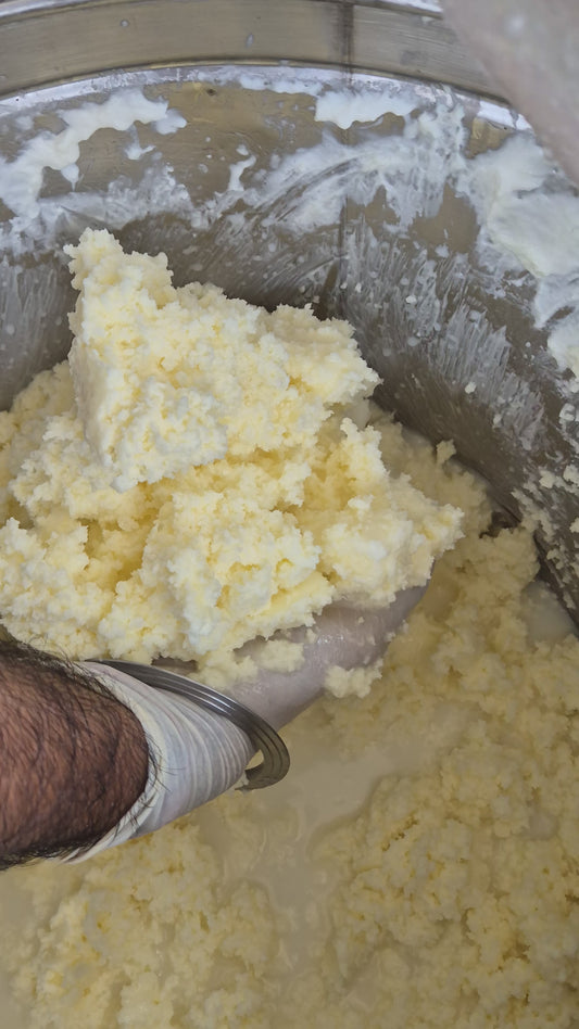 BUFFALLO BILLONA GHEE